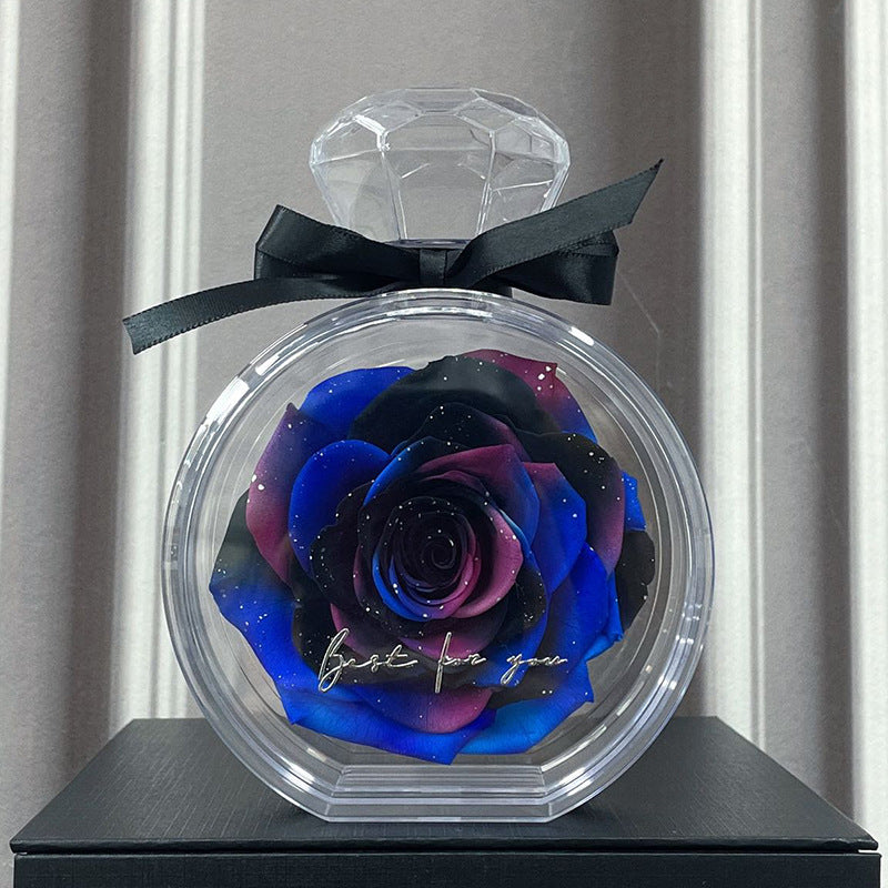 Natural Eternal Flower Ornaments Transparent Cover Dried Rose Gift Box For Christmas New Year Valentine&