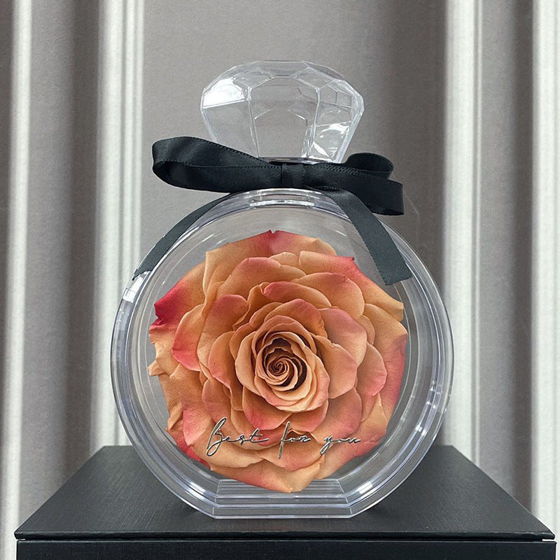 Natural Eternal Flower Ornaments Transparent Cover Dried Rose Gift Box For Christmas New Year Valentine&